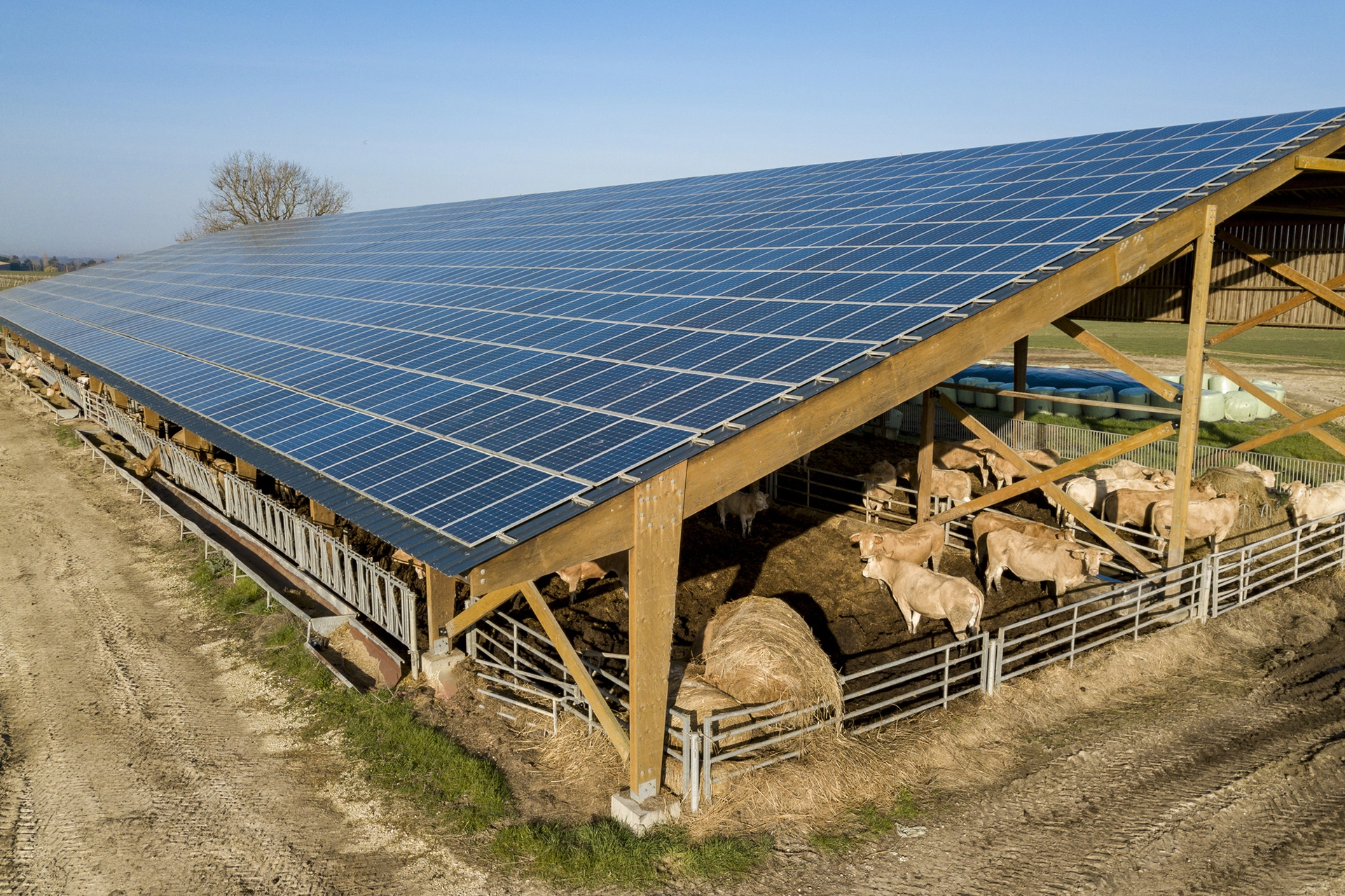 Panneaux solaires sur un preau agricole